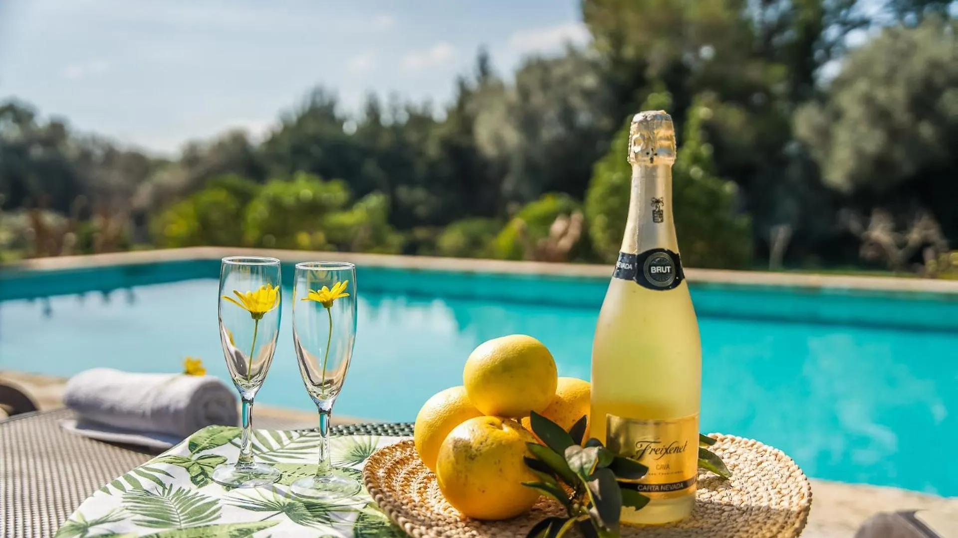 Kır Evi Ideal Property Mallorca - Cas Mut Búger